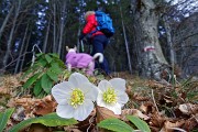 Monte Secco che più secco non si può da Piazzatorre nella splendida giornata del 7 dicembre 2015 - FOTOGALLERY